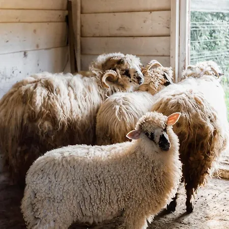 Holiday home Ray Eco Mukacheve