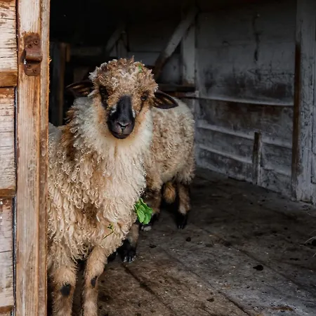 Holiday home Ray Eco *